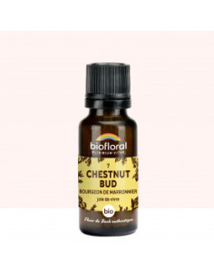 FDB 07 Chestnut Bud, Bourgeons Marronnier - Granules BIO - 19,5 g - BIOFLORAL