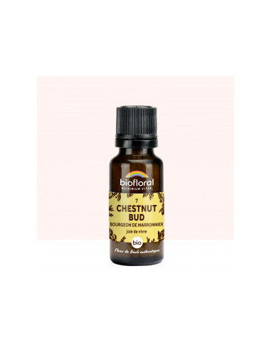 FDB 07 Chestnut Bud, Bourgeons Marronnier - Granules BIO - 19,5 g - BIOFLORAL