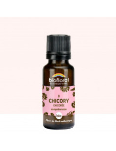 FDB 08 Chicory, Chicoree - Granules BIO - 19,5 g - BIOFLORAL