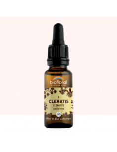 FDB 09 Clematis, Clematite - Compte Gouttes BIO Demeter - 20 ml - BIOFLORAL