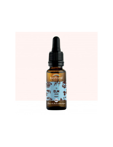 FDB 11 Elm, Orme - Compte Gouttes BIO Demeter - 20 ml - BIOFLORAL
