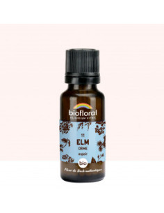 FDB 11 Elm, Orme - Granules BIO - 19,5 g - BIOFLORAL