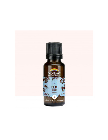 FDB 11 Elm, Orme - Granules BIO - 19,5 g - BIOFLORAL