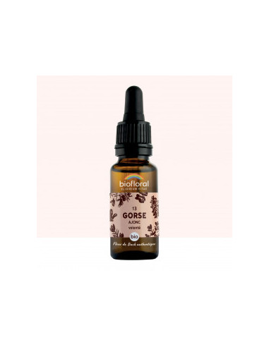 FDB 13 Gorse, Ajonc - Compte Gouttes BIO Demeter - 20 ml - BIOFLORAL