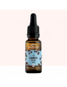 FDB 19 Larch, Meleze - Compte Gouttes BIO Demeter - 20 ml - BIOFLORAL