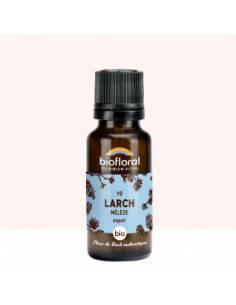 FDB 19 Larch, Meleze - Granules BIO - 19,5 g - BIOFLORAL