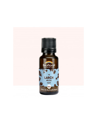 FDB 19 Larch, Meleze - Granules BIO - 19,5 g - BIOFLORAL