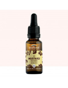FDB 21 Mustard, Moutarde - Compte Gouttes BIO Demeter - 20 ml - BIOFLORAL