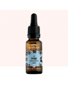 FDB 24 Pine, Pin Sylvestre - Compte Gouttes BIO Demeter - 20 ml - BIOFLORAL