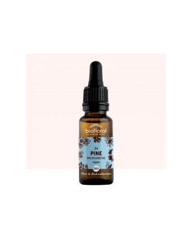 FDB 24 Pine, Pin Sylvestre - Compte Gouttes BIO Demeter - 20 ml - BIOFLORAL