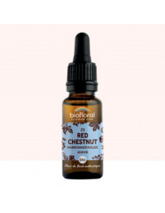 FDB 25 Red Chestnut Marronnier Rouge - Compte Gouttes BIO Demeter - 20 ml - BIOFLORAL