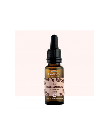 FDB 28 Scleranthus, Scleranthe - Compte Gouttes BIO Demeter - 20 ml - BIOFLORAL