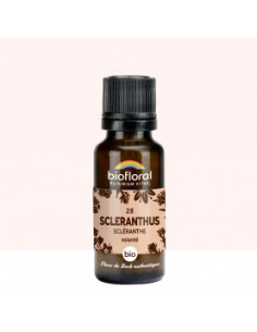 FDB 28 Scleranthus, Scleranthe - Granules BIO - 19,5 g - BIOFLORAL