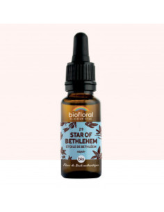 FDB 29 Star Of Bethlehem - Compte Gouttes BIO Demeter - 20 ml - BIOFLORAL