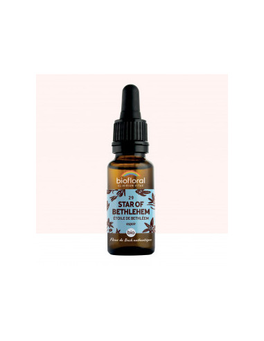 FDB 29 Star Of Bethlehem - Compte Gouttes BIO Demeter - 20 ml - BIOFLORAL