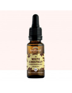 FDB 35 White Chestnut, Marronnier Blc - Compte Gouttes BIO Demeter - 20 ml - BIOFLORAL