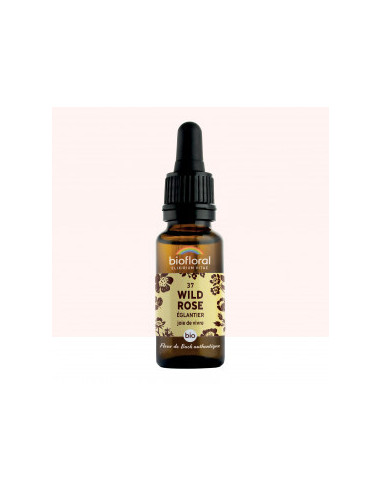 FDB 37 Wild Rose, Eglantier - Compte Gouttes BIO Demeter - 20 ml - BIOFLORAL