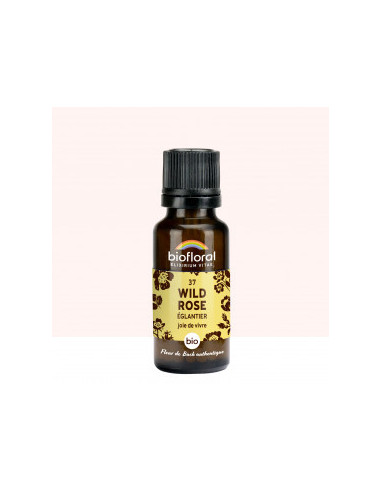 FDB 37 Wild Rose, Eglantier - Granules BIO - 19,5 g - BIOFLORAL
