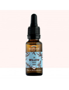 FDB 38 Willow, Saule - Compte Gouttes BIO Demeter - 20 ml - BIOFLORAL