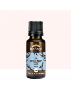 FDB 38 Willow, Saule - Granules BIO - 19,5 g - BIOFLORAL