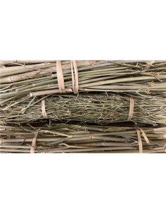 Fenouil BIO Provence - bouquet - PÈRE BLAIZE