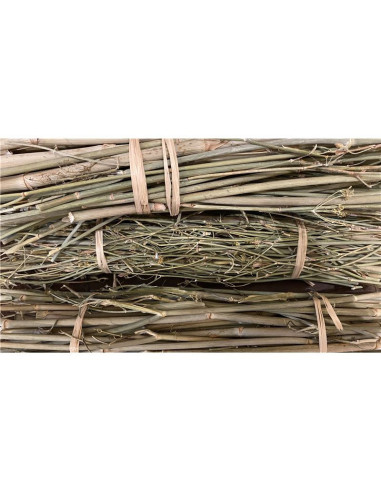 Fenouil BIO Provence - bouquet - PÈRE BLAIZE