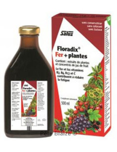 Floradix fer + plantes - 500 ml - SALUS