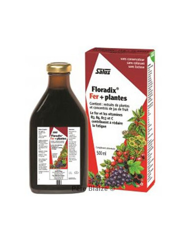 Floradix fer + plantes - 500 ml - SALUS