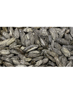 Fèves de tonka - 25 g - PÈRE BLAIZE
