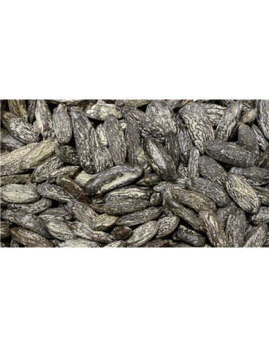 Fèves de tonka - 25 g - PÈRE BLAIZE