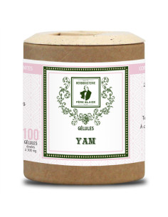 Gélules yam (racine) - 100 gélules - PÈRE BLAIZE