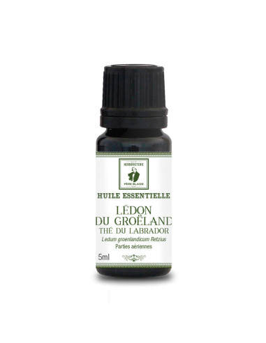 HE Lédon du groenland (Thé du Labrador) BIO - 5 ml - PÈRE BLAIZE